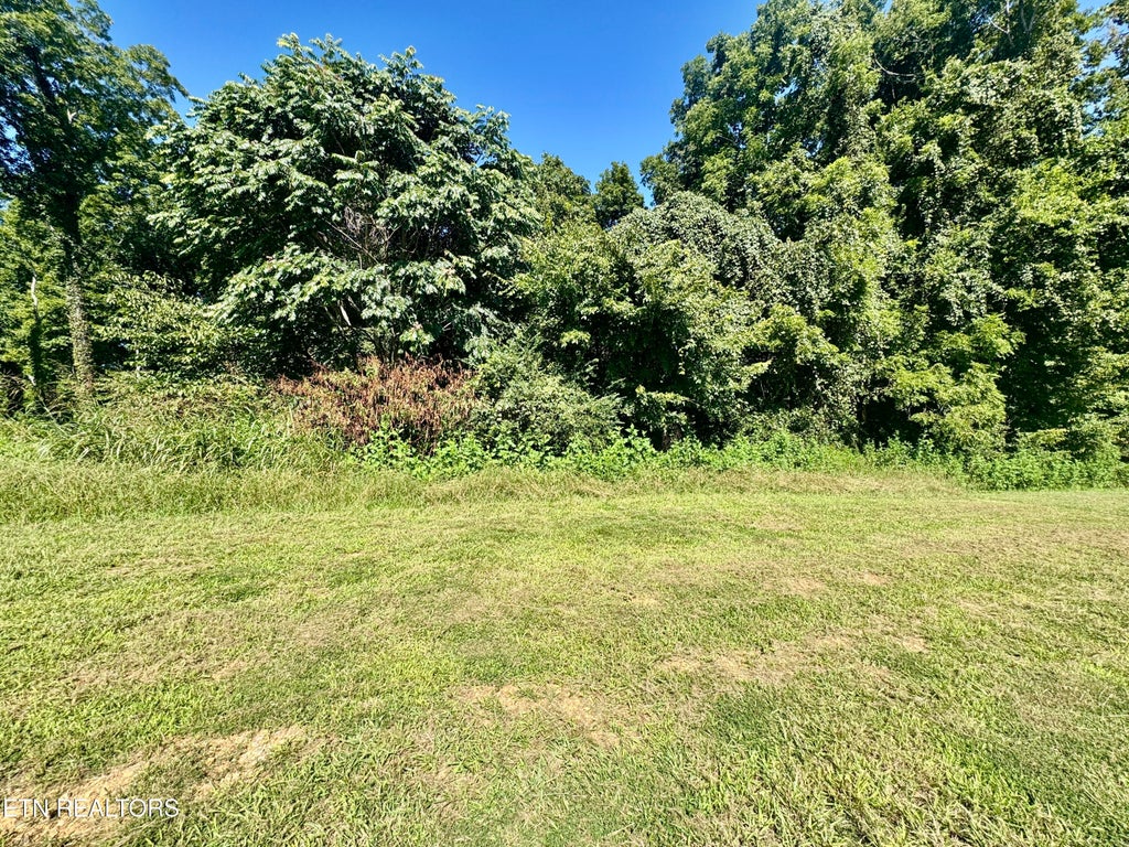 Photo of 16 Bridgewater Blvd, Morristown, TN 37814 (MLS # 1357978)
