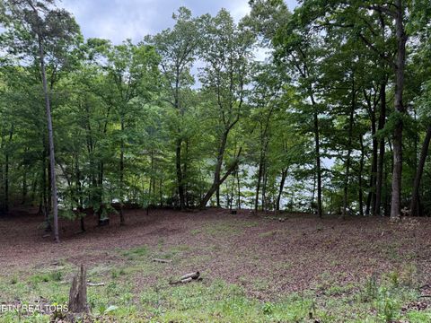 Tiny photo for 1196 Indian Shadows Drive #28, Ten Mile, TN 37880 (MLS # 1338540)