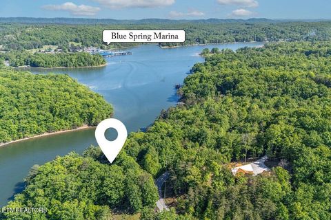 Tiny photo for 1196 Indian Shadows Drive #28, Ten Mile, TN 37880 (MLS # 1338540)