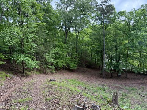 Tiny photo for 1196 Indian Shadows Drive #28, Ten Mile, TN 37880 (MLS # 1338540)
