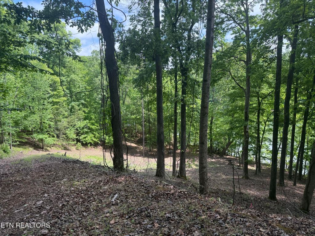 Photo of 28 Indian Shadows Drive #28, Ten Mile, TN 37880 (MLS # 1338540)