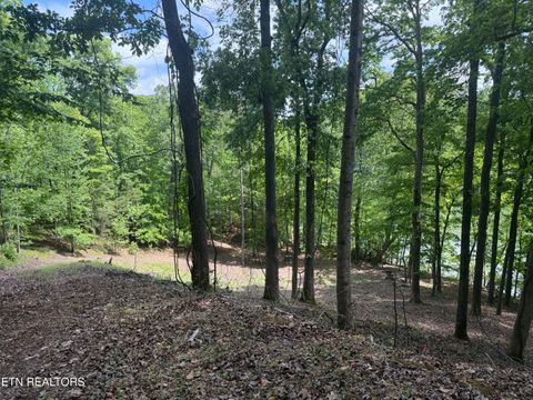 Tiny photo for 1196 Indian Shadows Drive #28, Ten Mile, TN 37880 (MLS # 1338540)