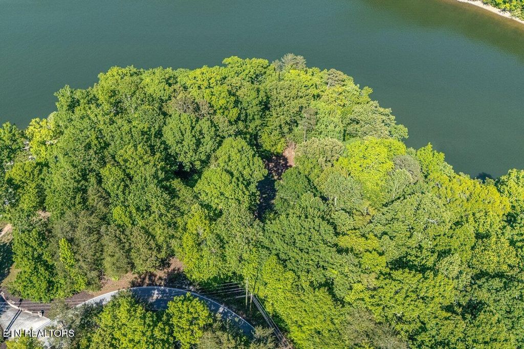 Photo of 1196 Indian Shadows Drive #28, Ten Mile, TN 37880 (MLS # 1338540)