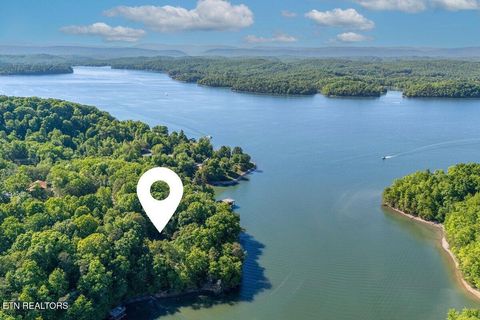 Tiny photo for 1196 Indian Shadows Drive #28, Ten Mile, TN 37880 (MLS # 1338540)