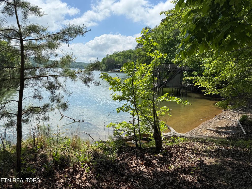 Photo of 28 Indian Shadows Drive #28, Ten Mile, TN 37880 (MLS # 1338540)