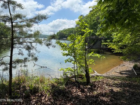 Tiny photo for 1196 Indian Shadows Drive #28, Ten Mile, TN 37880 (MLS # 1338540)