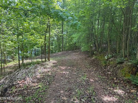 Tiny photo for 1196 Indian Shadows Drive #28, Ten Mile, TN 37880 (MLS # 1338540)