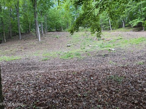 Tiny photo for 1196 Indian Shadows Drive #28, Ten Mile, TN 37880 (MLS # 1338540)