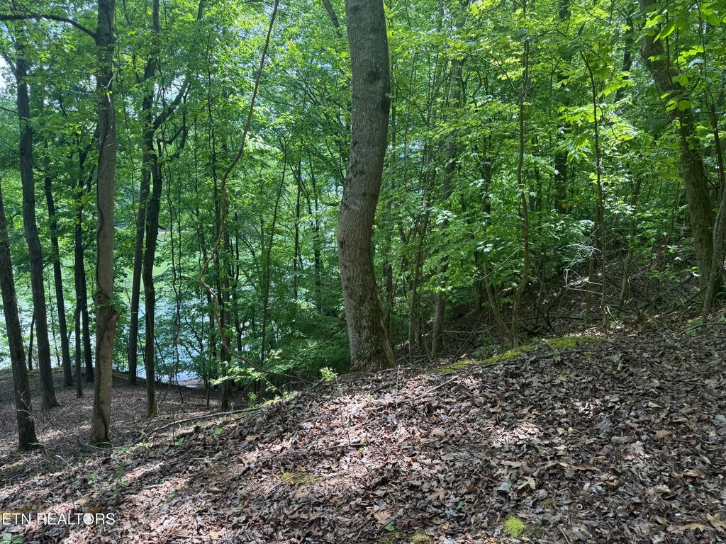 Photo of 28 Indian Shadows Drive #28, Ten Mile, TN 37880 (MLS # 1338540)
