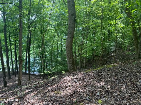 Tiny photo for 1196 Indian Shadows Drive #28, Ten Mile, TN 37880 (MLS # 1338540)