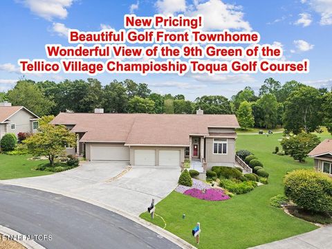 315 Agoli Lane Loudon TN 37774