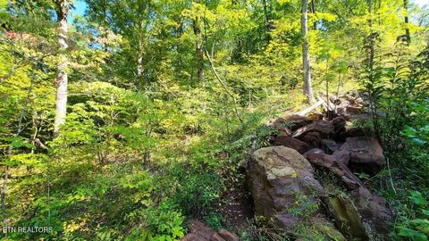 Tiny photo for Mel Hall Rd, Maryville, TN 37803 (MLS # 1332720)