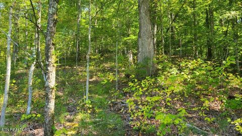 Tiny photo for Mel Hall Rd, Maryville, TN 37803 (MLS # 1332720)