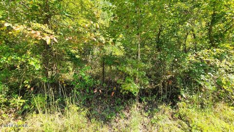 Tiny photo for Mel Hall Rd, Maryville, TN 37803 (MLS # 1332720)