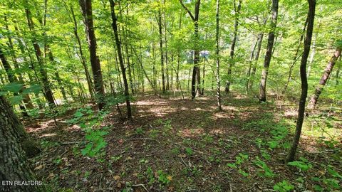 Tiny photo for Mel Hall Rd, Maryville, TN 37803 (MLS # 1332720)