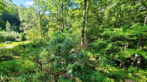 Tiny photo for Mel Hall Rd, Maryville, TN 37803 (MLS # 1332720)