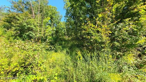 Tiny photo for Mel Hall Rd, Maryville, TN 37803 (MLS # 1332720)