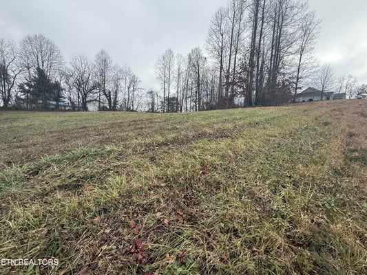 135 OAK POINT DR, JONESVILLE, VA 24263 - Image edc44baad813b2ca37cd0a6523aa5e57/4164430219