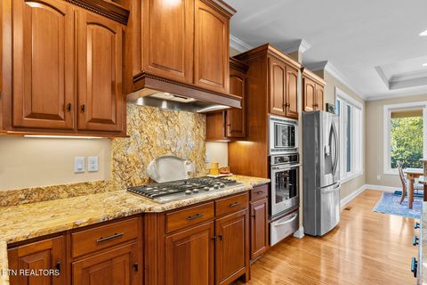 Tiny photo for 1217 Kahite Tr, Vonore, TN 37885 (MLS # 1315993)