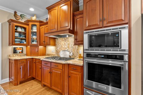 Tiny photo for 1217 Kahite Tr, Vonore, TN 37885 (MLS # 1315993)