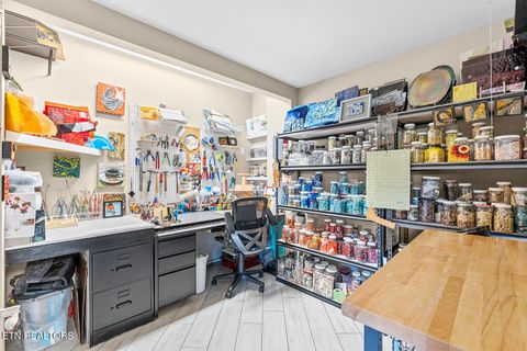 Tiny photo for 1217 Kahite Tr, Vonore, TN 37885 (MLS # 1315993)