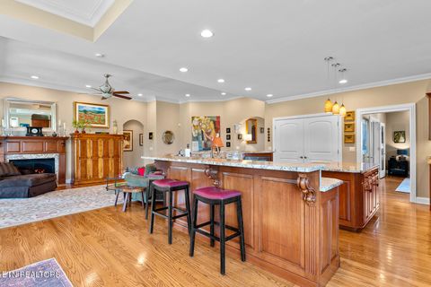 Tiny photo for 1217 Kahite Tr, Vonore, TN 37885 (MLS # 1315993)