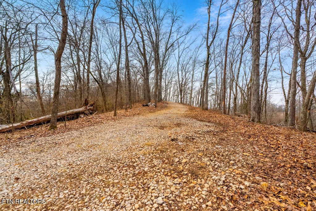 Photo of 4129 Bear Hollow Loop, Louisville, TN 37777 (MLS # 1328078)