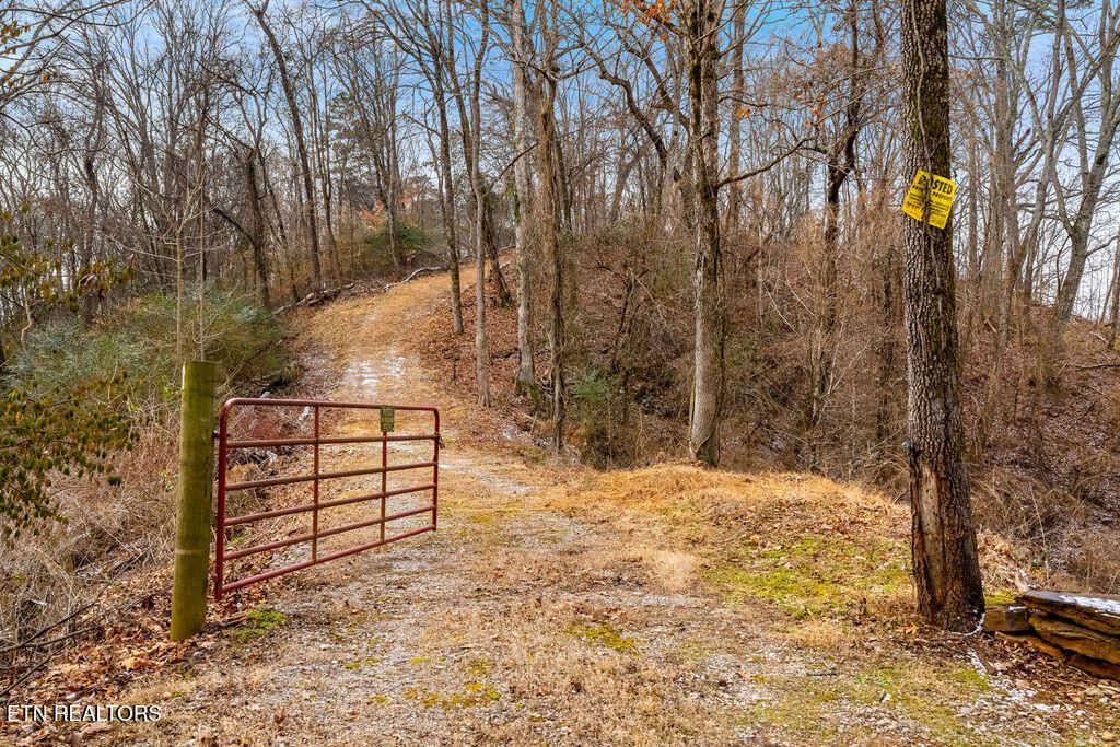 Photo of 4129 Bear Hollow Loop, Louisville, TN 37777 (MLS # 1328078)
