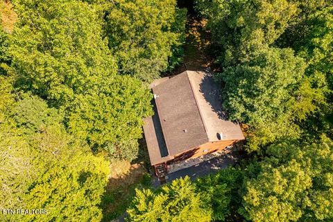 Tiny photo for 833 S. New Era Rd, Sevierville, TN 37862 (MLS # 1327724)
