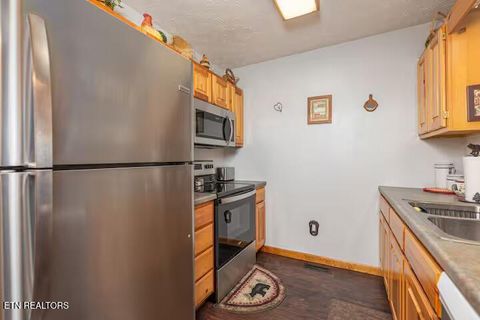 Tiny photo for 833 S. New Era Rd, Sevierville, TN 37862 (MLS # 1327724)