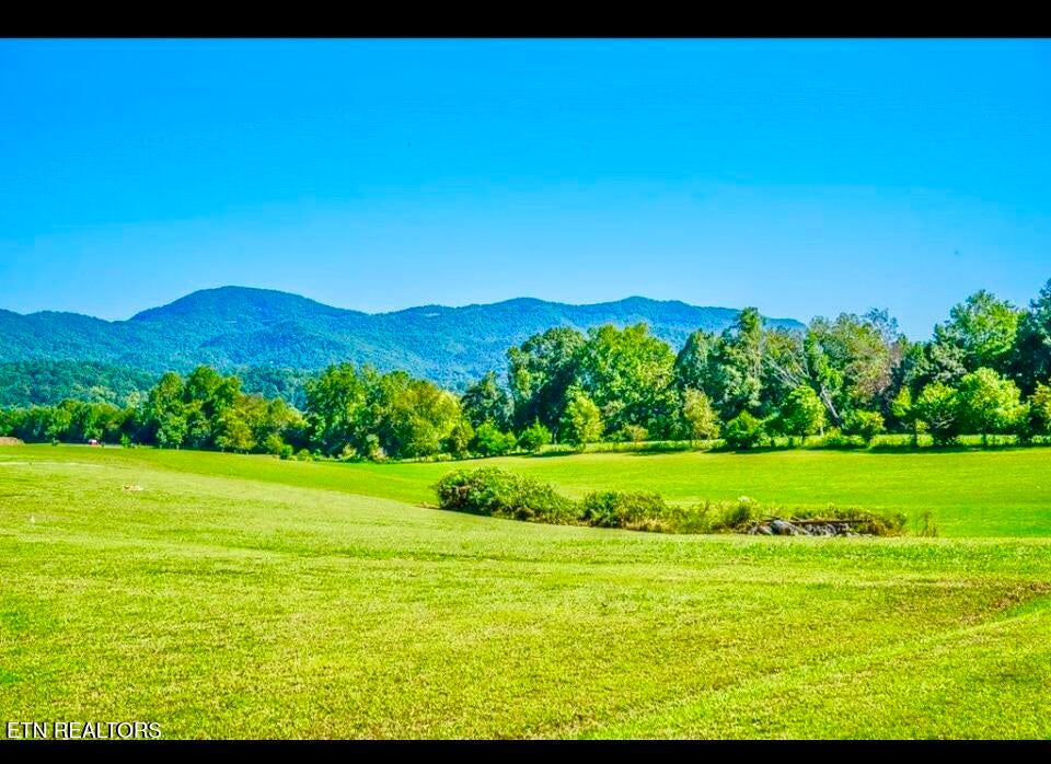 Photo of 237 Myers Rd, Townsend, TN 37882 (MLS # 1343891)
