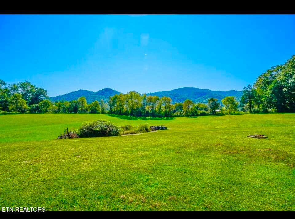 Photo of 237 Myers Rd, Townsend, TN 37882 (MLS # 1343891)
