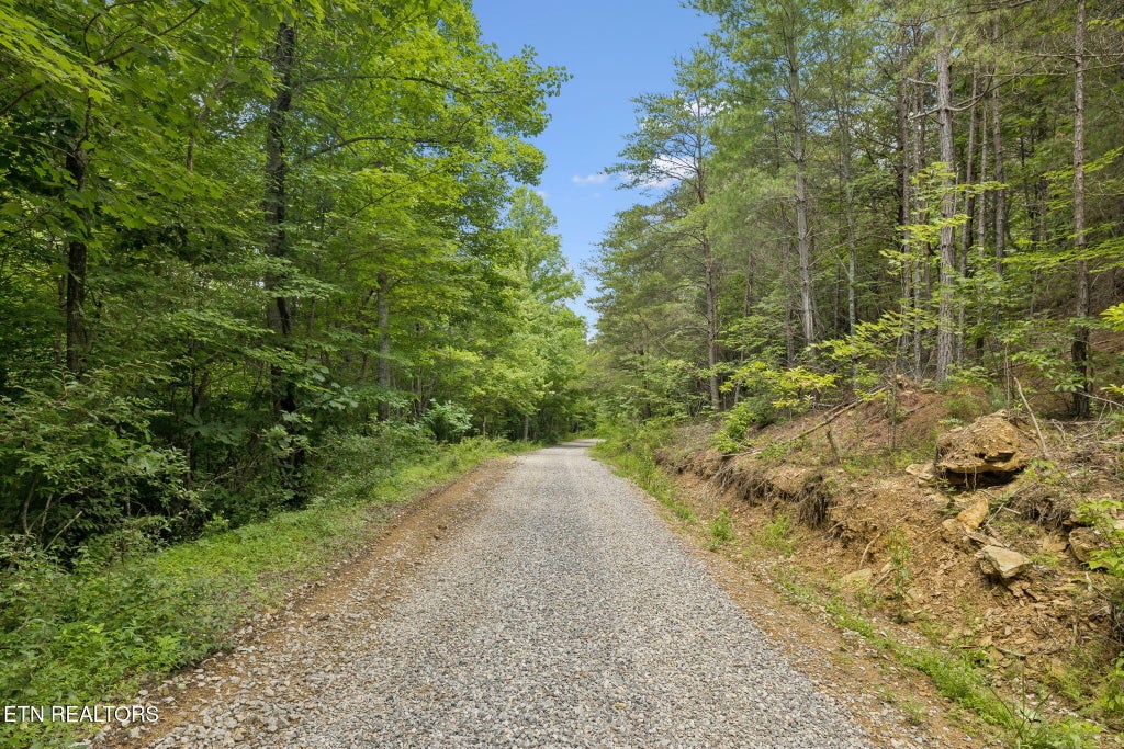 Photo of Nydeck Tr #T5, Robbins, TN 37852 (MLS # 1360548)