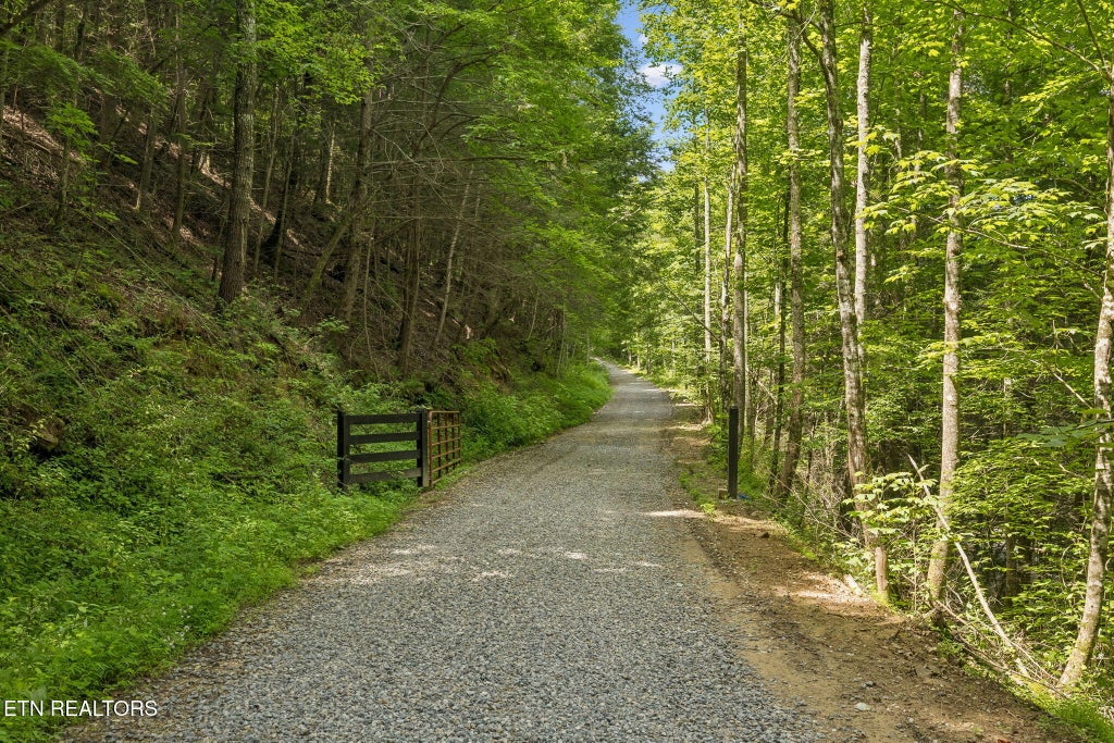 Photo of Nydeck Tr #T5, Robbins, TN 37852 (MLS # 1360548)