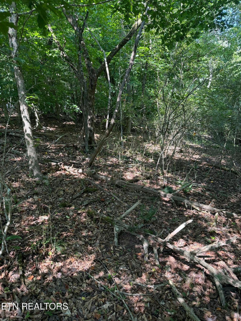 Photo of 1534 N Wilkerson Rd, Knoxville, TN 37922 (MLS # 1307536)