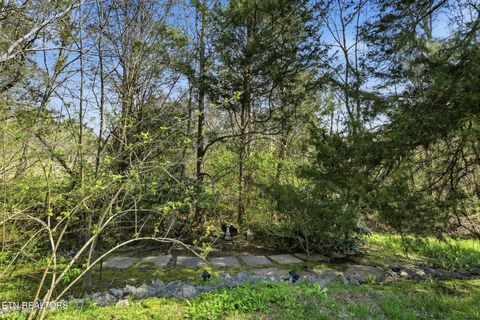 Tiny photo for 7418 Beavers Bend Lane, Corryton, TN 37721 (MLS # 1334462)