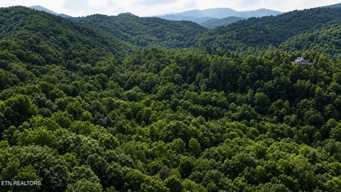Photo of S Clear Fork Rd, Sevierville, TN 37862 (MLS # 1351135)