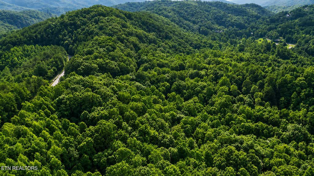Photo of S Clear Fork Rd, Sevierville, TN 37862 (MLS # 1351135)