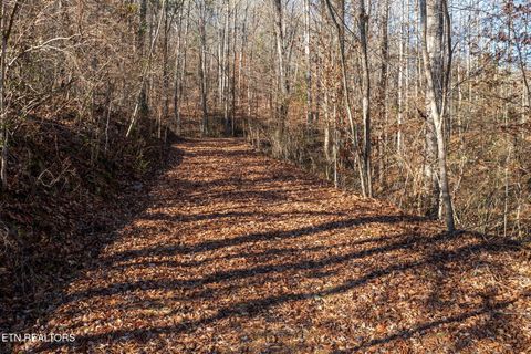 Photo of 636 Butler Mill Rd, Maryville, TN 37803 (MLS # 1324282)