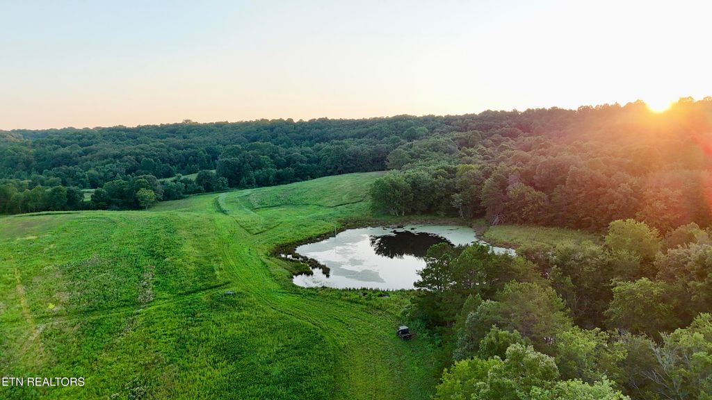 Photo of 155 Happy Top Rd, Sunbright, TN 37872 (MLS # 1311358)