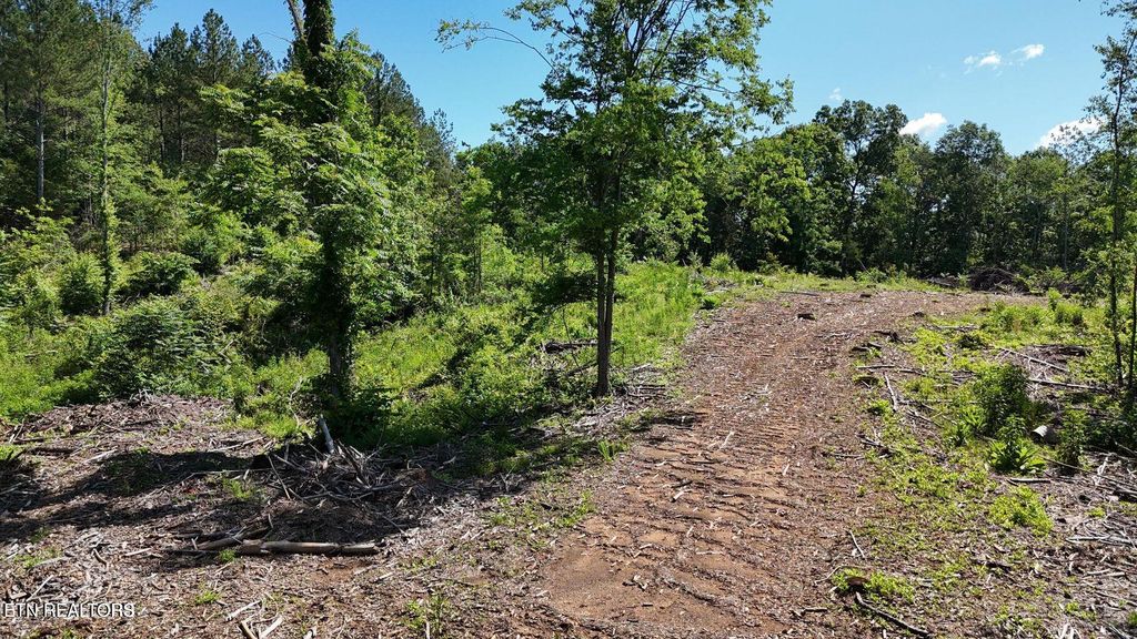 Photo of 2 Lamontville Rd, Decatur, TN 37322 (MLS # 1306760)