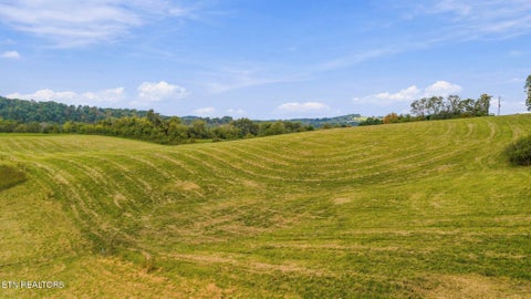 Tiny photo for 5 Bluff Rd, Parrottsville, TN 37843 (MLS # 1359666)