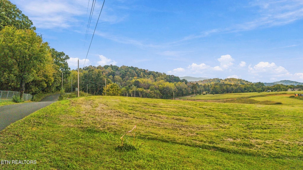 Photo of 5 Bluff Rd, Parrottsville, TN 37843 (MLS # 1359666)
