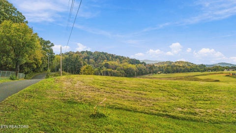 Tiny photo for 5 Bluff Rd, Parrottsville, TN 37843 (MLS # 1359666)