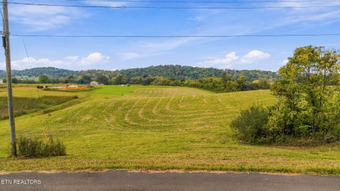Tiny photo for 5 Bluff Rd, Parrottsville, TN 37843 (MLS # 1359666)