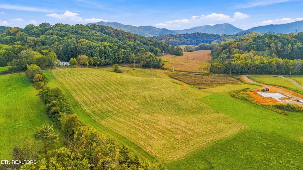 Photo of 5 Bluff Rd, Parrottsville, TN 37843 (MLS # 1359666)