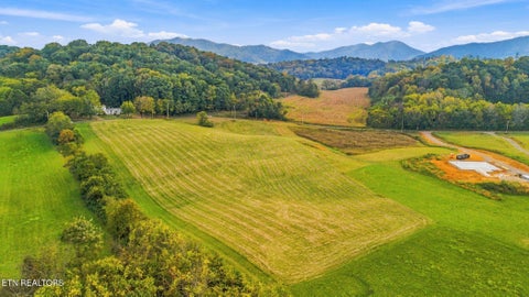Tiny photo for 5 Bluff Rd, Parrottsville, TN 37843 (MLS # 1359666)