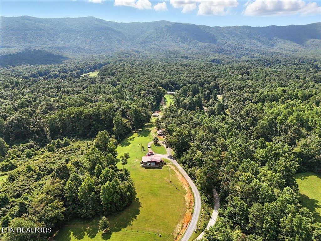 Photo of 1011 Frank Thornton Rd, Dandridge, TN 37725 (MLS # 1310049)