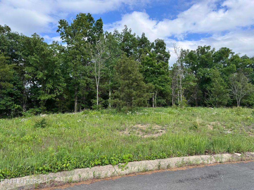 Photo of 2622 Onyx Court, Sevierville, TN 37876 (MLS # 1340419)