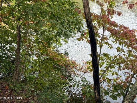 Tiny photo for 1758 N Wilkerson Rd, Knoxville, TN 37922 (MLS # 1358411)